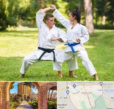 باشگاه هاپکیدو در شهر ری