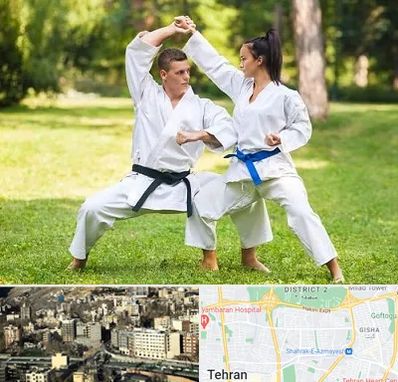 باشگاه هاپکیدو در مرزداران 