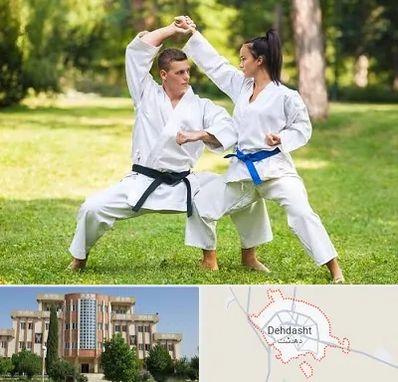 باشگاه هاپکیدو در دهدشت