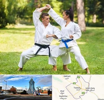 باشگاه هاپکیدو در تایباد