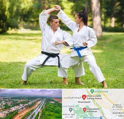 باشگاه هاپکیدو در قصرالدشت شیراز