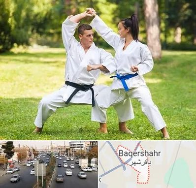 باشگاه هاپکیدو در باقرشهر