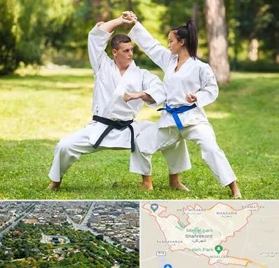 باشگاه هاپکیدو در شهرکرد