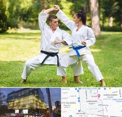 باشگاه هاپکیدو در جمهوری 