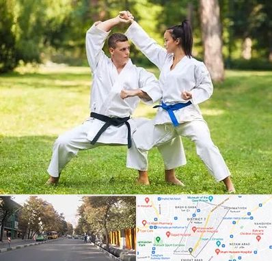 باشگاه هاپکیدو در شریعتی 