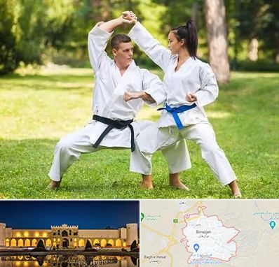 باشگاه هاپکیدو در برازجان