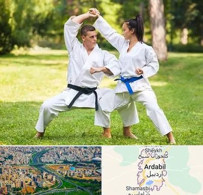 باشگاه هاپکیدو در اردبیل