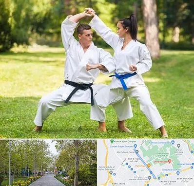 باشگاه هاپکیدو در قدوسی غربی شیراز