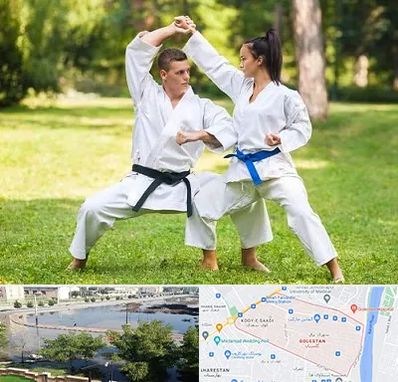 باشگاه هاپکیدو در گلستان اهواز