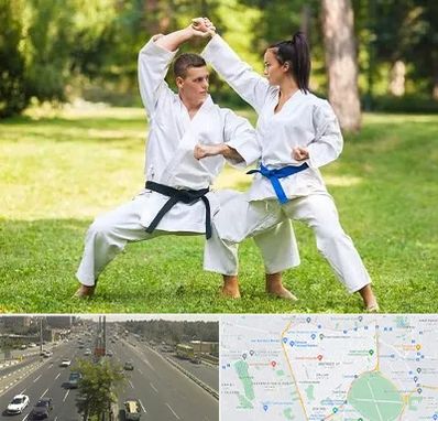 باشگاه هاپکیدو در منطقه 17 تهران 