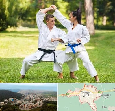 باشگاه هاپکیدو در گرگان