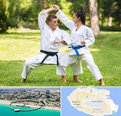 باشگاه هاپکیدو در کیش