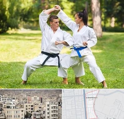 باشگاه هاپکیدو در اسکندری