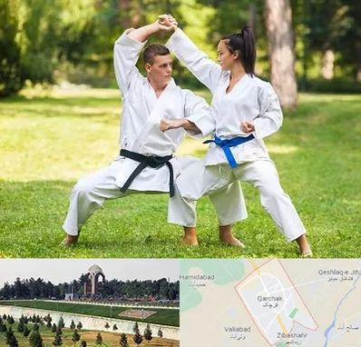 باشگاه هاپکیدو در قرچک