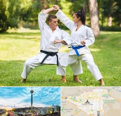 باشگاه هاپکیدو در تهران