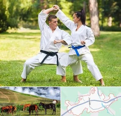 باشگاه هاپکیدو در تالش