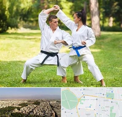 باشگاه هاپکیدو در نازی آباد