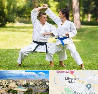 باشگاه هاپکیدو در میانه