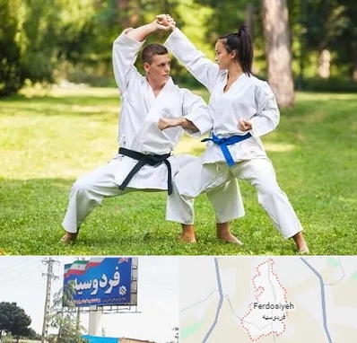 باشگاه هاپکیدو در فردوسیه شهریار