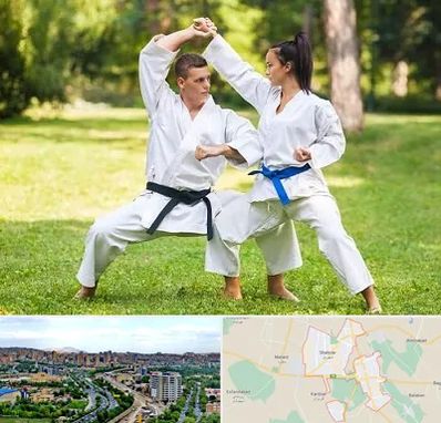 باشگاه هاپکیدو در شهریار