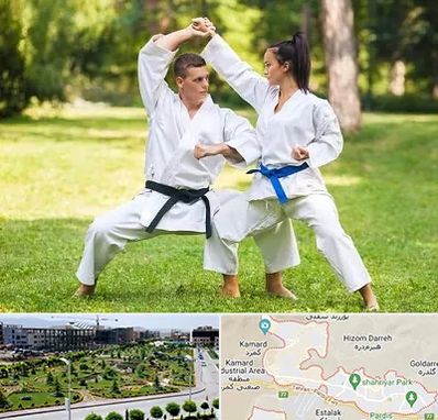 باشگاه هاپکیدو در پردیس