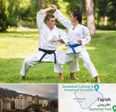 باشگاه هاپکیدو در زعفرانیه 