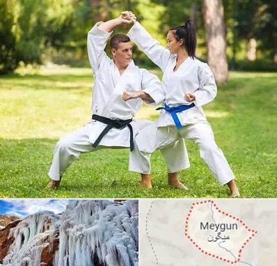 باشگاه هاپکیدو در میگون