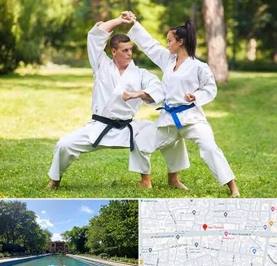 باشگاه هاپکیدو در هشت بهشت اصفهان