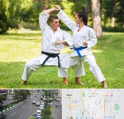 باشگاه هاپکیدو در ستارخان 