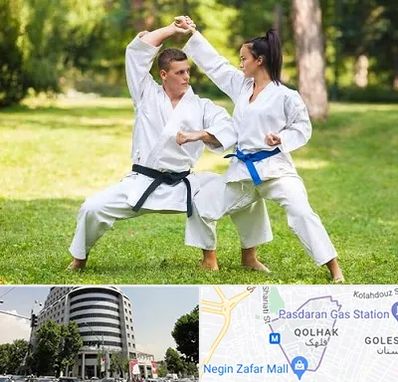 باشگاه هاپکیدو در قلهک 