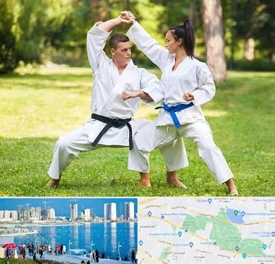 باشگاه هاپکیدو در چیتگر 