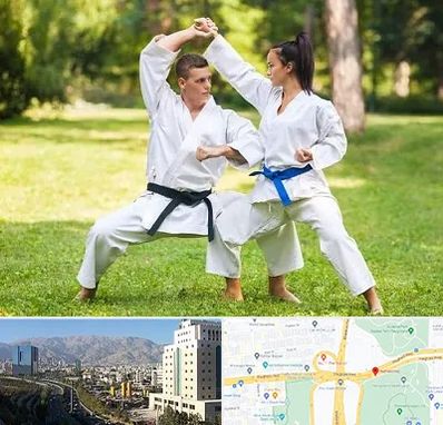 باشگاه هاپکیدو در حقانی 