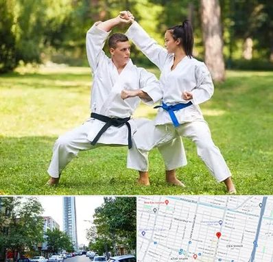 باشگاه هاپکیدو در امامت مشهد