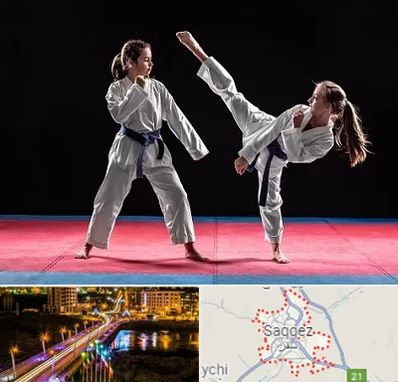 باشگاه تکواندو در سقز