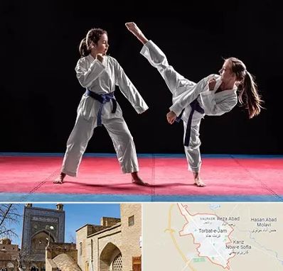 باشگاه تکواندو در تربت جام