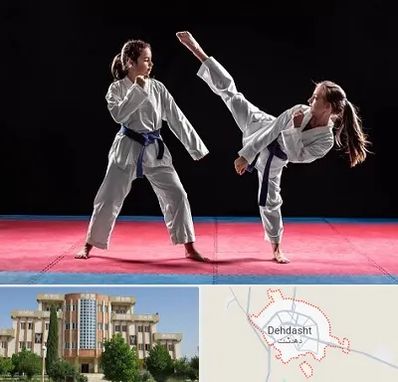 باشگاه تکواندو در دهدشت