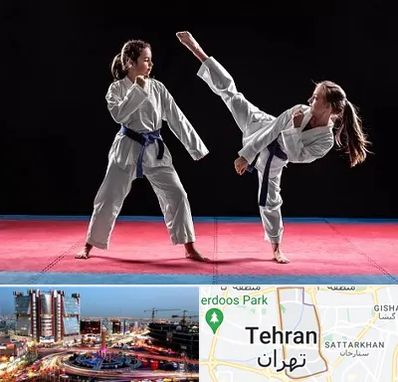 باشگاه تکواندو در صادقیه 