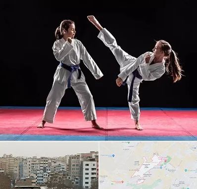 باشگاه تکواندو در محمد شهر کرج