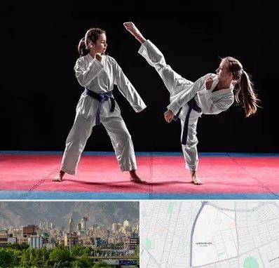 باشگاه تکواندو در جمشیدیه