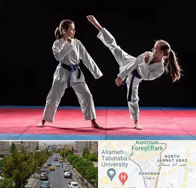 باشگاه تکواندو در شهران 