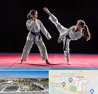 باشگاه تکواندو در ملارد