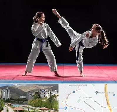 باشگاه تکواندو در شهر زیبا 