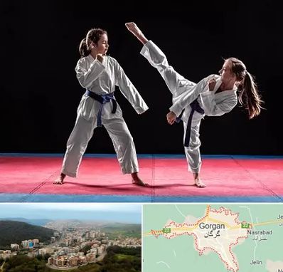 باشگاه تکواندو در گرگان