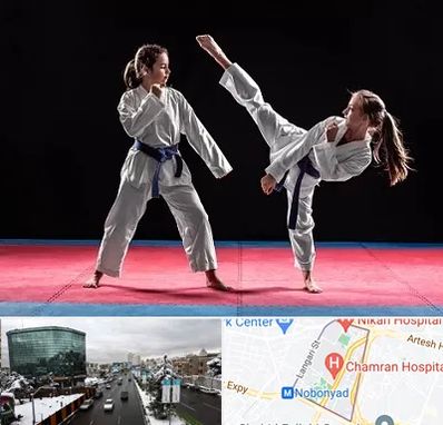 باشگاه تکواندو در اقدسیه 