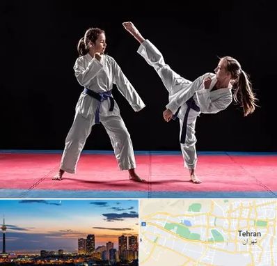 باشگاه تکواندو در غرب تهران 