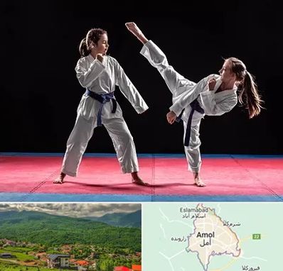 باشگاه تکواندو در آمل