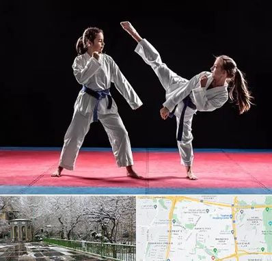 باشگاه تکواندو در باغ فیض