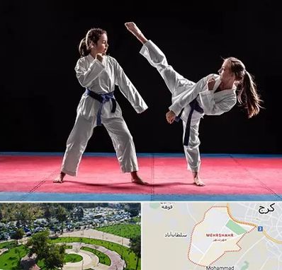 باشگاه تکواندو در مهرشهر کرج 