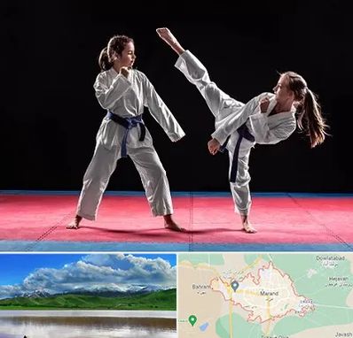 باشگاه تکواندو در مرند