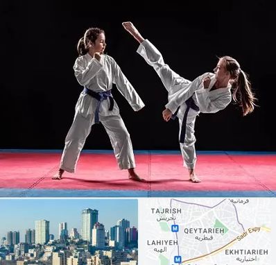 باشگاه تکواندو در قیطریه 